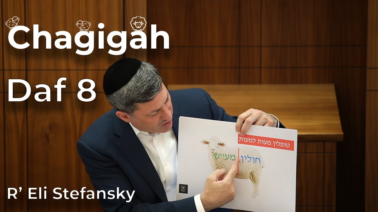 Daf Yomi Chagigah Daf 8 by R’ Eli Stefansky