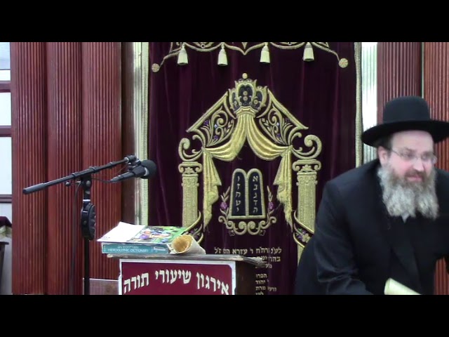 Pesach 5778 ר שימי דויטש The Living Torah Museum