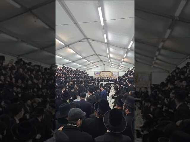 ז' שבט בחצה''ק לעלוב בפולין