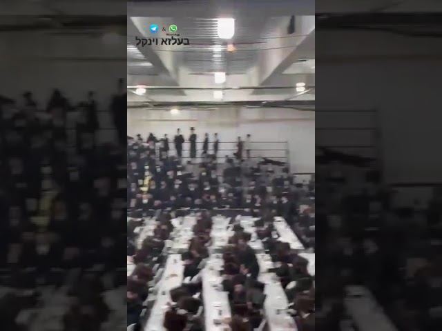 Belzer Rebbe son in Boro Park Adar 5785