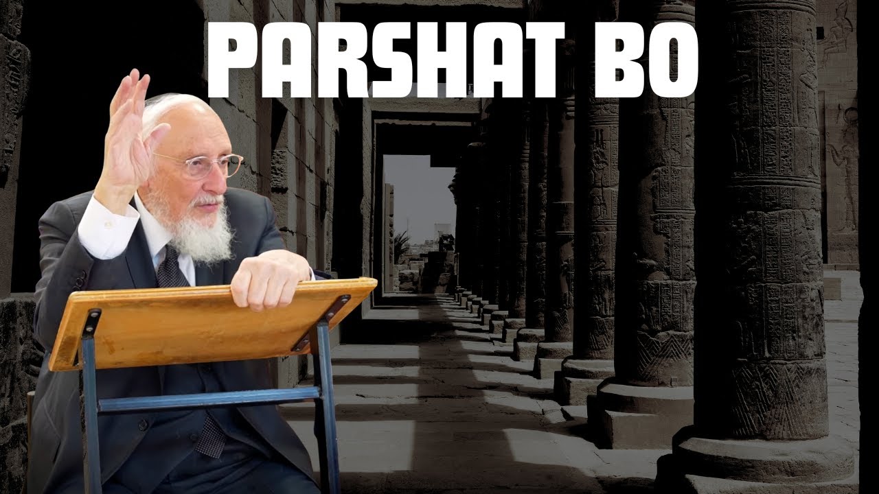 Parshat Bo | Rabbi Taub
