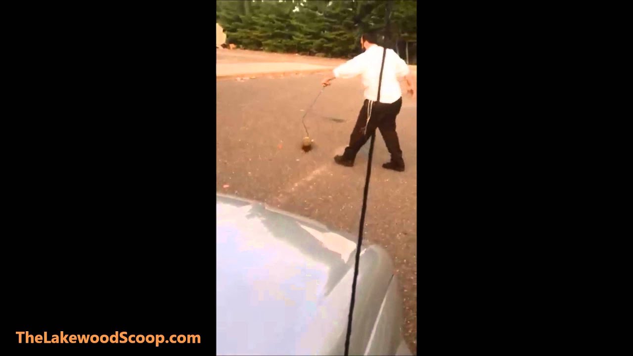Chaveirim member removes bag from animal's face