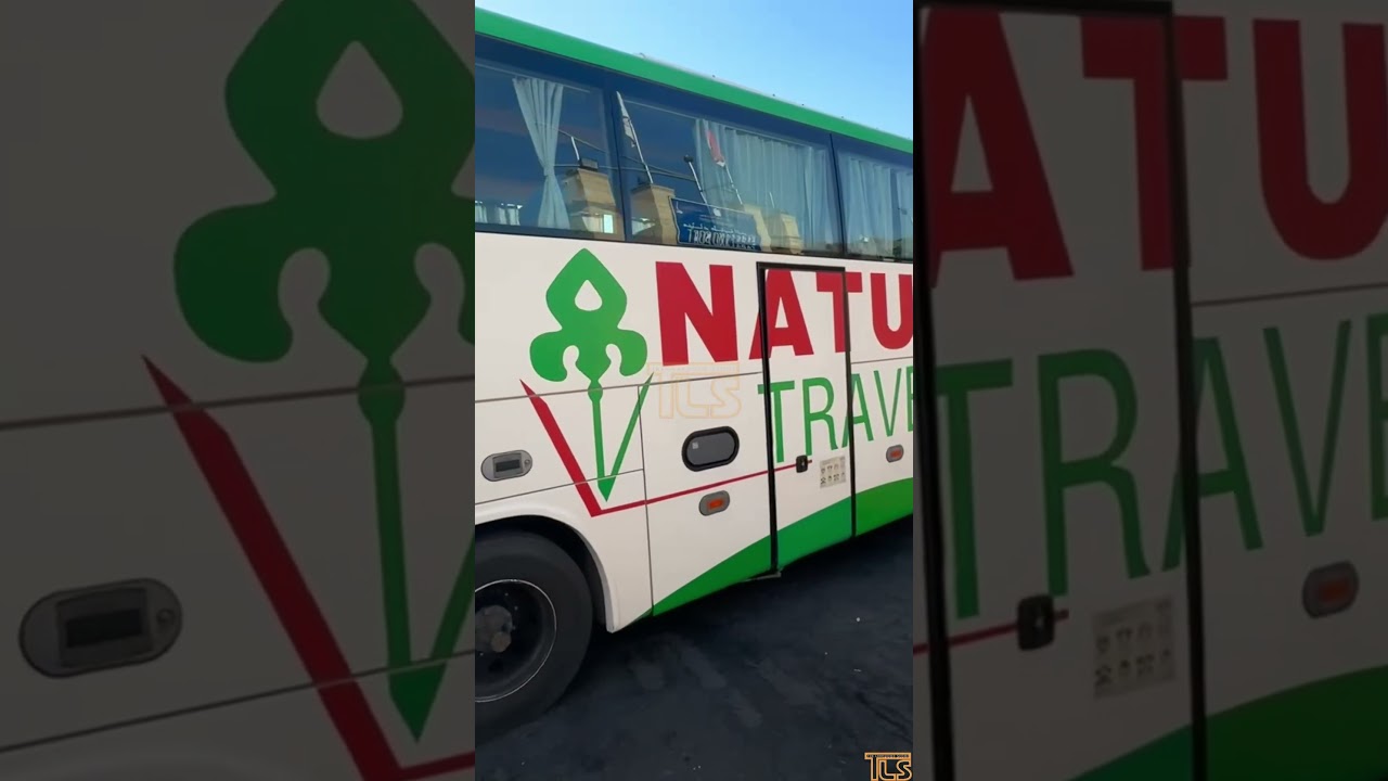 A Lakewood resident’s 35 hour journey from Israel to New York via Egypt