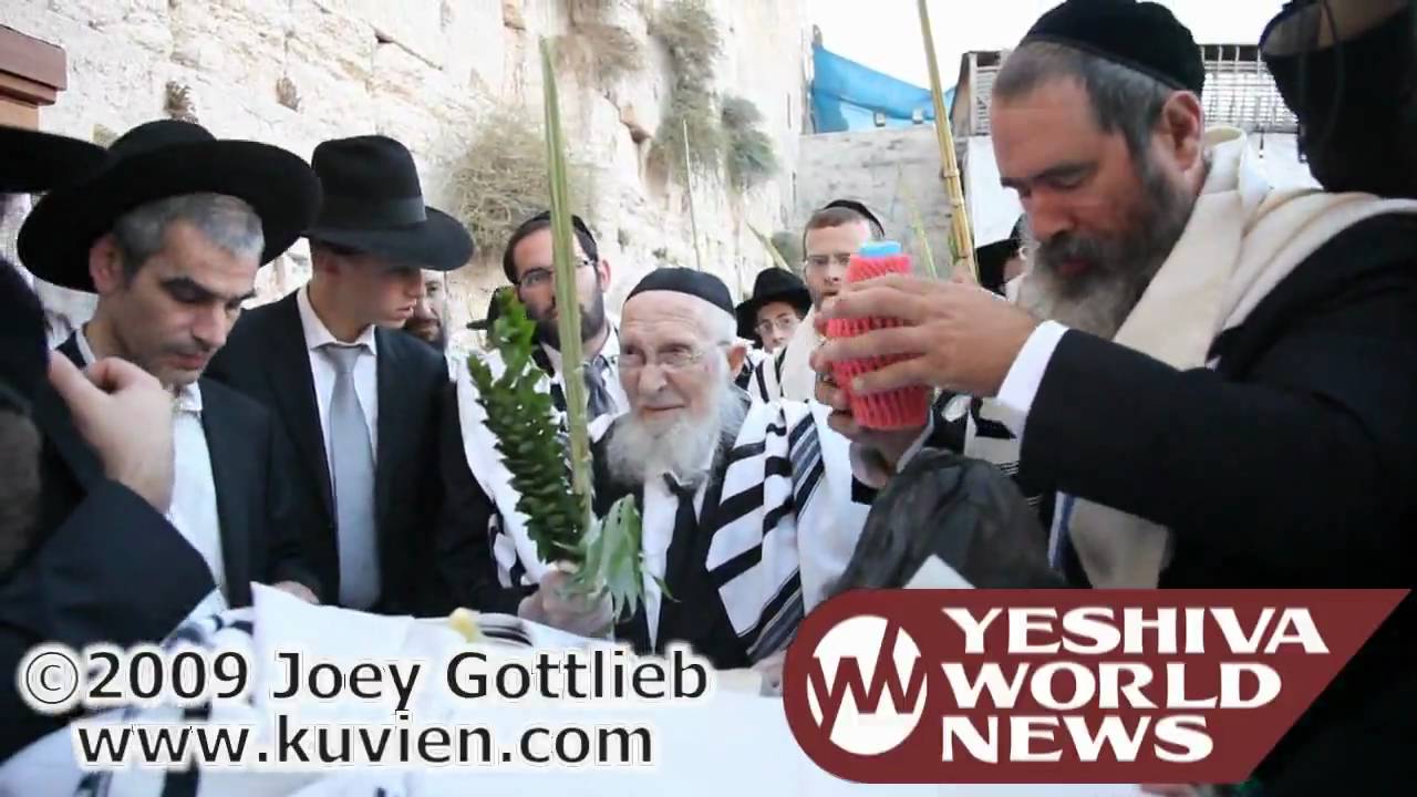 HaRav Chaim Pinchas Scheinberg bentching Lulav and Esrog at the Kosel