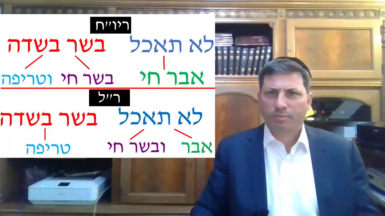 8 Min Daf - Chullin Daf 103  by R’ Eli Stefansky