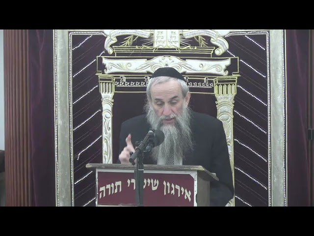 Snow And Rain On Shabbos -  Rav Yakov Zev Smith