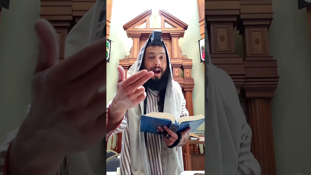 #Psalm113 #Tehillim #Psalms #Hallel#BokerTov #ShavuaTov #ChodeshTov #ShanaTova!