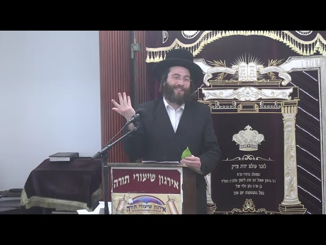 ידיעות נחוצות לקניית אתרוג - ר' יוסף פאלאק שליט"א