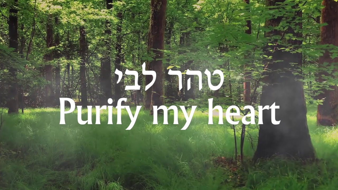 נפתלי כלפה מארח את שלמה כץ  - טהר ליבי Naftali Kalfa ft. Shlomo Katz - Taher Libi