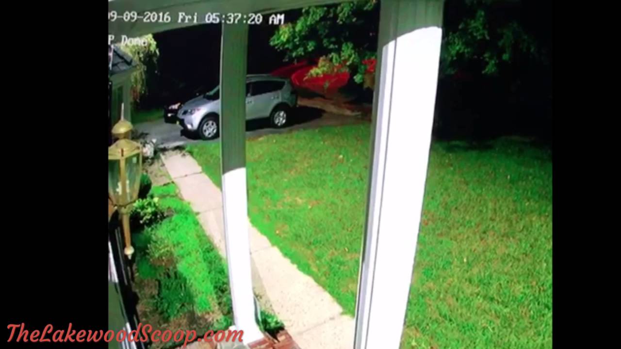 Surveillance video of vehicle burglar