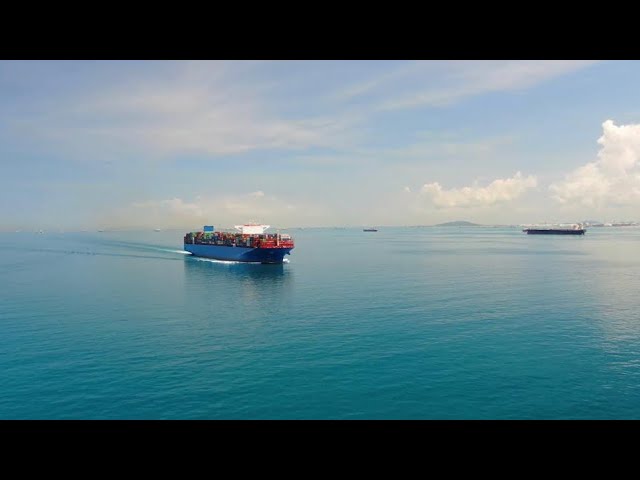 Rebbe Akiva & the Panama Canal {Torah Illuminated Series}