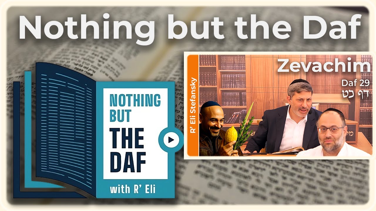 CHAZARAH - Zevachim Daf 29 | "Nothing but the Daf" with R' Eli Stefansky