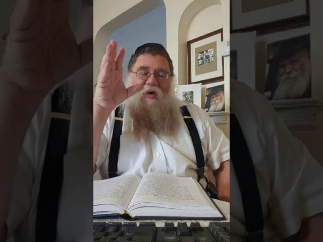 Practical Chasidus w Rabbi Chaim Dalfin - Maamar Choviv 1940 #3
