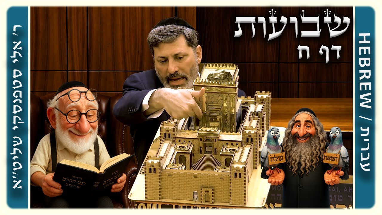 מרכז דף יומי - שבועות דף ח. - ר' אלי סטפנסקי שליט"א