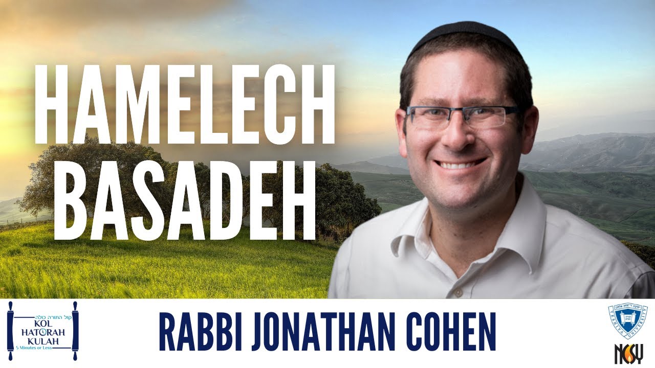 Hamelech Basadeh - Rabbi Jonathan Cohen