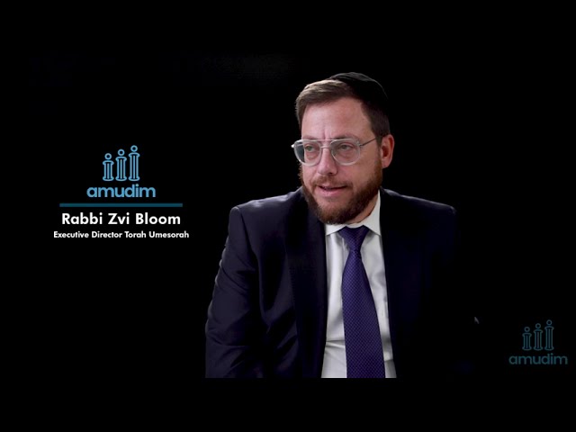 Collateral Damage  - Zvi Bloom
