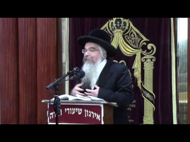 בירורי הלכה ושאלות ותשובות בעניני חנוכה  - ר' אברהם חיים שטיינווארצעל שליט"א