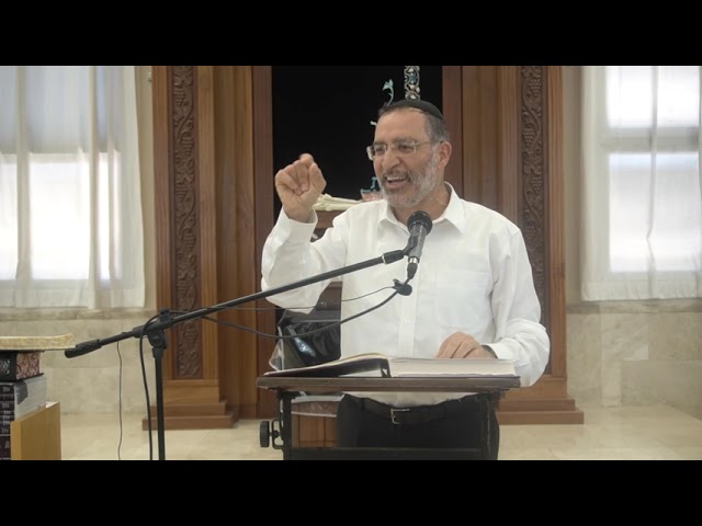 מעלים מיסים, האם נפסל לעדות?  | סנהדרין כד: | שיעור כללי | הרב בן ציון אלגאזי