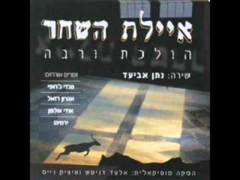 סמול טוקר | תזמורת איילת השחר באלבום כפול מפתיע