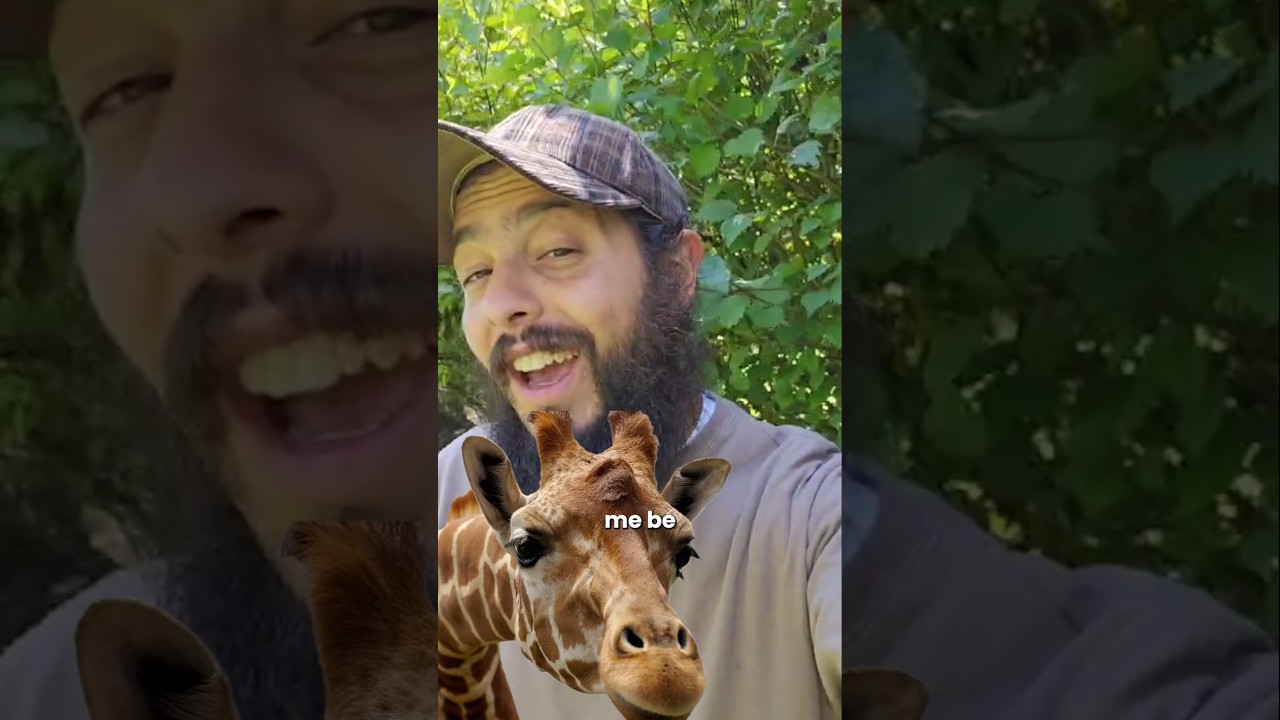 Which #animal do you want to hear next? Vote in the comments below. #giraffe #giraffes #giraffelove