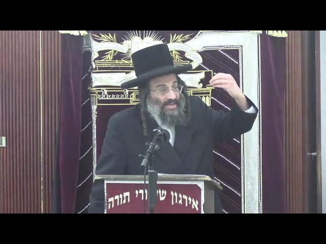 דיני מעקה הלכה למעשה - ר' שאול  יחזקאל שווארץ שליט"א
