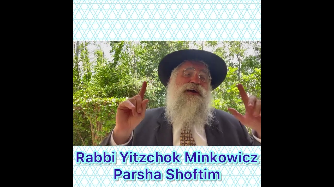 Rabbi Yitzchok Minkowicz Torah Lesson Parsha Shoftim When Moshiach is revealed will we need Judges?