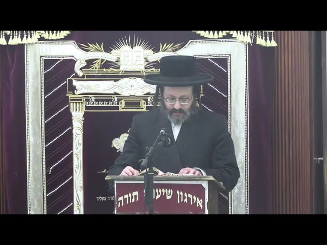 שאלות המצויות בהלכות נטילת ידים - ר‘ אהרן כ"ץ שליט“א