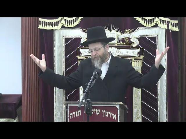 הלכות שכיחות למלוה ולוה ובענינא דיומא  -  ר' אליעזר בוים שליט"א