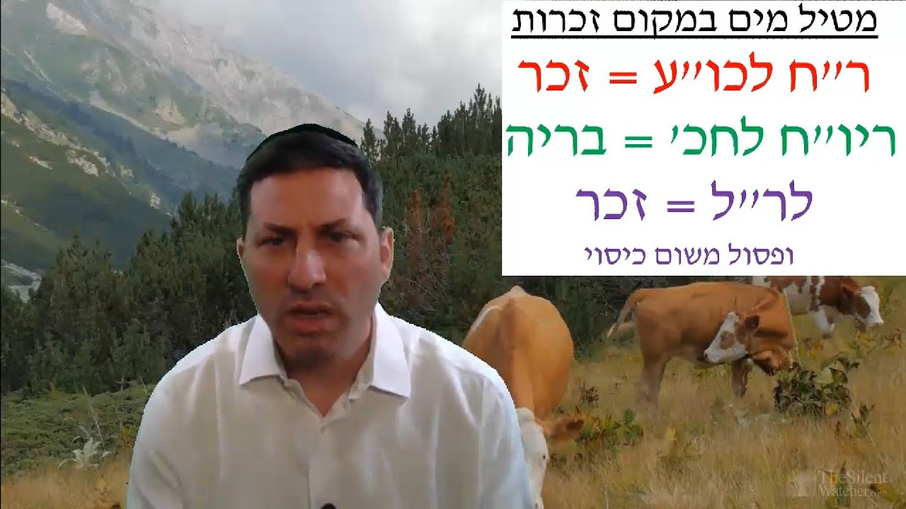 Hebrew סיכום הדף בעברית בכורות דף מב