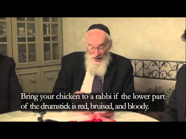 What's wrong with this chicken? - Drumstick (2 of 8)