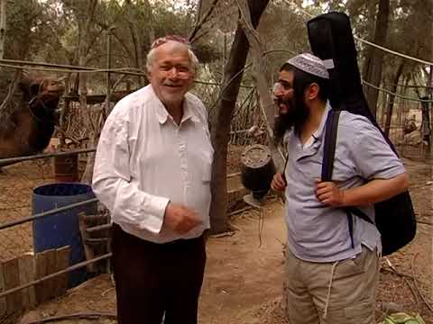 Langsam - Touring Israel