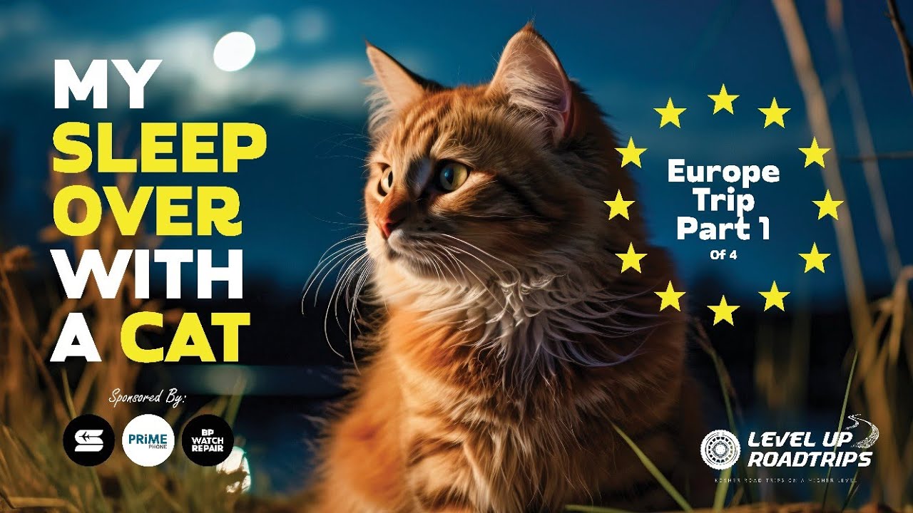 My scary Sleepover with a Cat - Europe Trip Part 1 | Yiddish