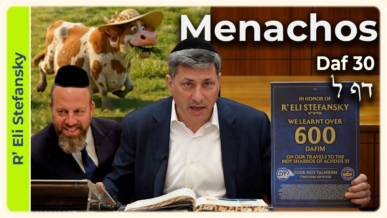 Daf Yomi Menachos Daf 30 by R' Eli Stefansky