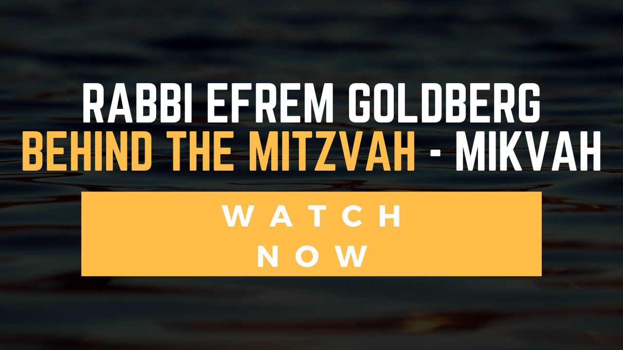 Behind the Mikvah: An Intimate Look at the Spa for the Soul