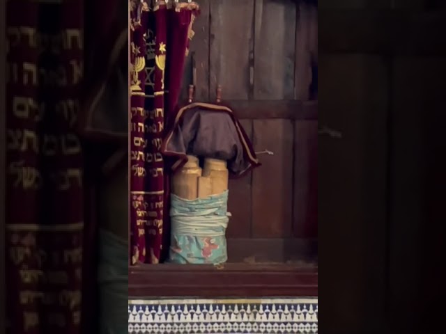 ליפא שמעלצער ודובי מייזלס