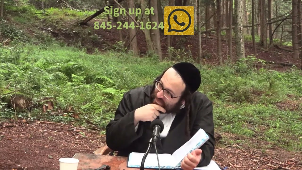 Rabbi Yoel Roth - Faking anger