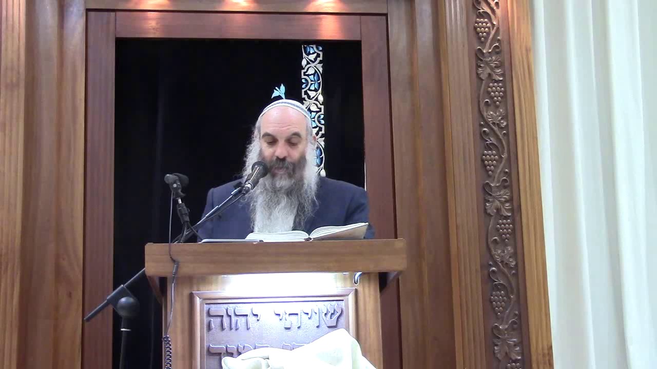 שיחת ליל יום העצמאות -  הרב יהושע שפירא