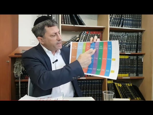 Daf Yomi Niddah Daf 34 by R' Eli Stefansky