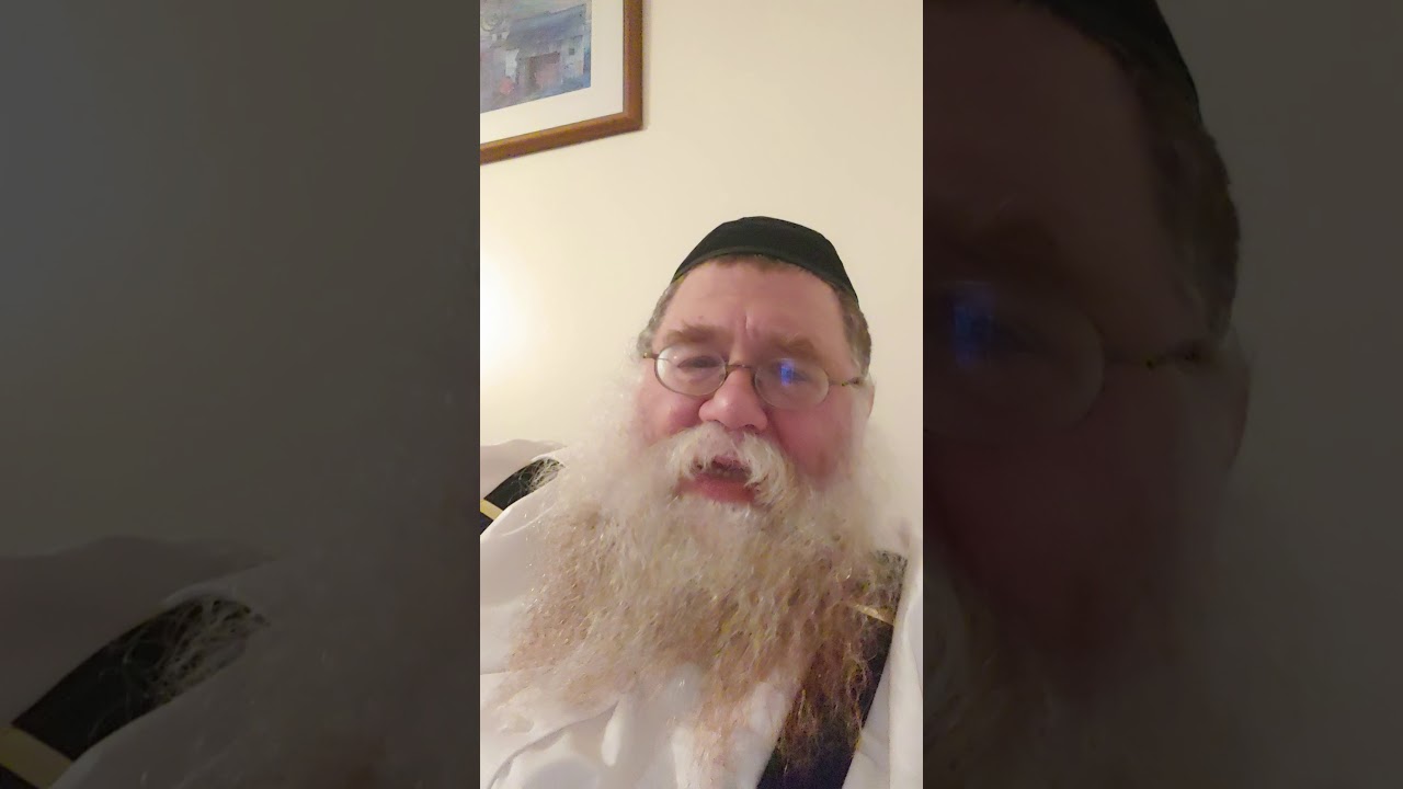 Telz and Lubavitch part II - Rabbi Chaim Gutnick