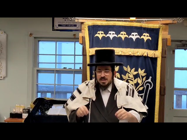 תשובת הגר''ח קנייבסקי זיע''א לעשיר מחוץ לארץ - Daily Yiddish Shiur by Rav Benzion Sneh Nov 18