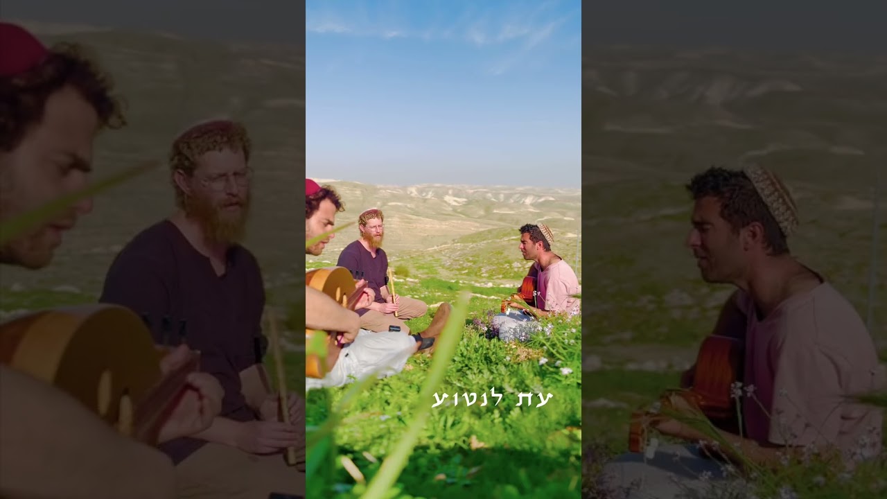 כי תבואו אל הארץ - עת לנטוע אילנות! ט״ו בשבט שמח!