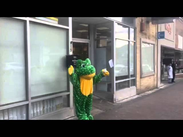 Gelbstein's Frog