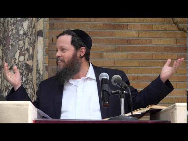 תרומת אברים מחיים - חיוב, מצוה או איסור