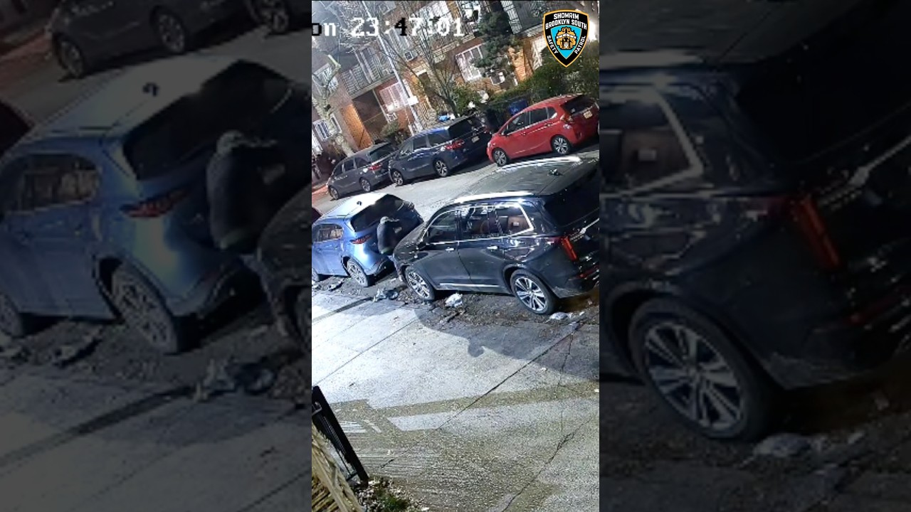 License Plate Thief Arrested, Plates Recovered