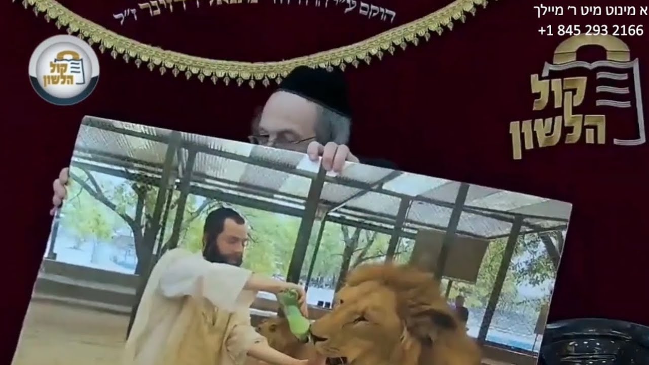 How did he feed a lion?