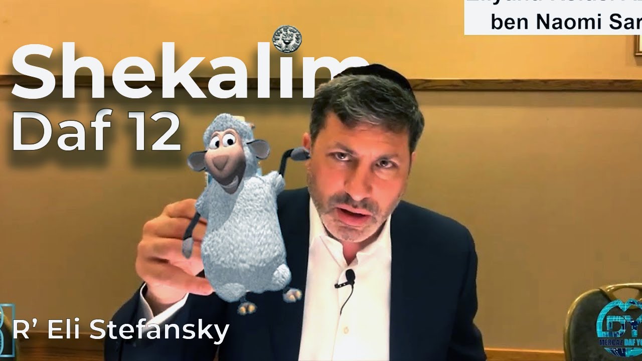 Daf Yomi Shekalim Daf 12 by R’ Eli Stefansky