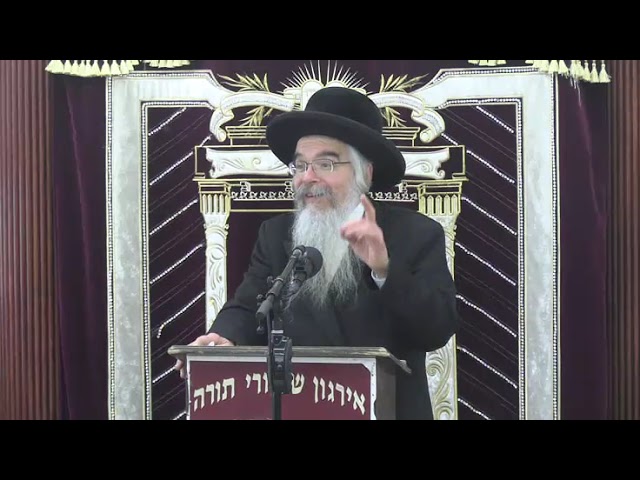 שיעור כללי בהלכות פורים - ר' אברהם חיים שטיינווארצעל שליט"א