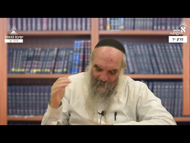 תשובה מעשית ותשובה רוחנית | אורות התשובה יד, ד | א | הרב יהושע שפירא
