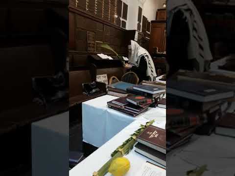 Rav David Feinstein ztz"l Shaking Lulav - Succos 5780