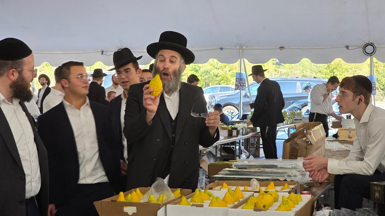 Exclusive tour, Arba Minim Shuk @the BMG Parking Lot with Avrum Halprin, @the first hour of opening